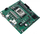 Pllakë amë Asus PRO A620M-DASH-CSM, DDR5, PCIe 4.0 M.2, e zezë