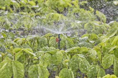 Grykë ujitëse GARDENA Micro Drip 13322, 360°, për gyp 13 mm, blu