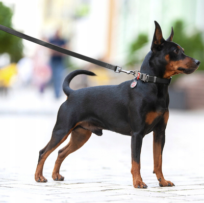 Shëtitëse për qen WAUDOG Waterproof Medium, 3 m, 19 mm, e zezë