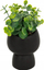 Bimë artificiale Livy Succulent, 17cm, vazo qeramike e zezë