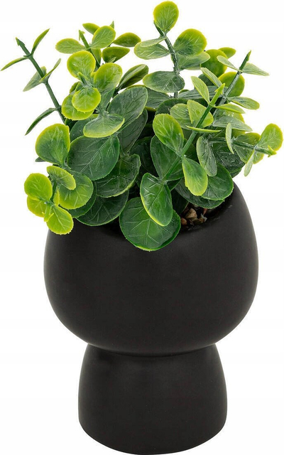Bimë artificiale Livy Succulent, 17cm, vazo qeramike e zezë