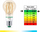 Llambë e mençur Philips WiZ A60, E27, Tunable White