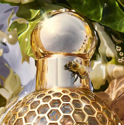 Eau de Toilette Guerlain Aqua Allegoria Bergamote Calabria Refill, 75ml