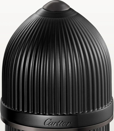 Eau de Parfum Cartier Pasha de Cartier Noir Absolu, 50ml