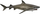 Figurë lodër Collecta Tiger Shark 004-88661, peshkaqen tigër, shumëngjyrshme