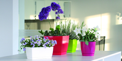 Vazo lulesh Prosperplast Coubi Square P, plastike me pjatë, 18cm, ngjyrë krem