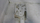 Tharëse flokësh murale Valera Hotello, 1500W, për hotele, e zezë