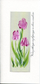 Kartolinë ditëlindjeje Mak U05 Tulips, letër 200 g, e bardhë