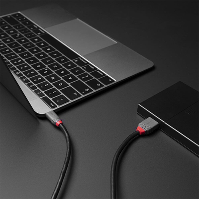 Kabllo USB Lindy Anthra Line, USB C me Micro B, USB 3.2, 3m, e zezë