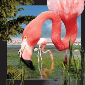 Kartolinë 3D Flamingo, efekt 4D, shumëngjyrëshe
