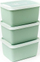 Enë ngrirëse Amuse Alaska Bio, set 3x1L, plastike bio, jeshile