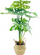 Вештачко цвеќе во саксија Home Styling Collection Alocasia Green, 51 cm, зелено