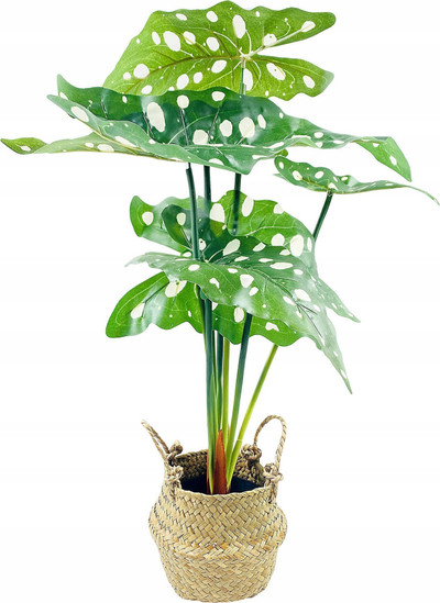 Вештачко цвеќе во саксија Home Styling Collection Alocasia Green, 51 cm, зелено