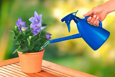 Shishe ujitëse WENKO, 800 ml, 2 në 1 me spërkatës, blu