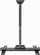 Mbajtëse muri për TV Gembird WM-55ST-02, 32-55", VESA 400x400, e zezë