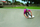 Skateboard Razor Ripsurf 15073390, rrota 360°, deri 100 kg, i bardhë