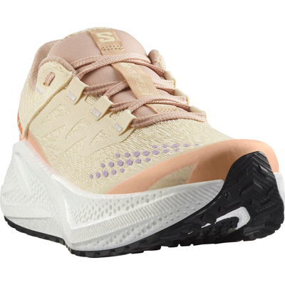 Патики за трчање Salomon Aero Glide 3 GRVL, за жени, беж