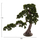 Bimë sintetike Beauty Pine (BONSAI) në vazo (HM7976)