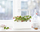 Click and Grow Smart Garden садници од диви јагоди