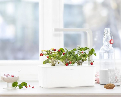 Click and Grow Smart Garden садници од диви јагоди