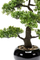 Bimë artificiale Emerald Ficus Mini Bonsai, 47 cm, në vazo, jeshile