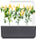 Билни капсули Click & Grow Yellow Chili, сет 3 парчиња, за Smart Garden, жолти
