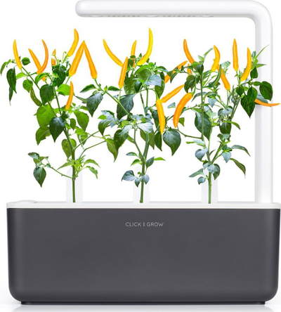 Билни капсули Click & Grow Yellow Chili, сет 3 парчиња, за Smart Garden, жолти