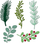 Set prerëse letre DpCraft Sizzix Branches JCMA-139, 5 copë