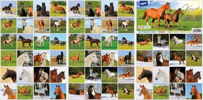 Lojë memorie Pexeso MFP Horse 5300904, me kartela kuajsh, shumëngjyrëshe