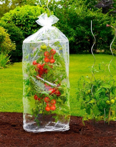 Set mbulesash për pjekje domatesh Wenko, 2 copë, transparente