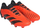 Këpucë futbolli Adidas Predator Accuracy .1 Low, Soft Ground, me lidhëse, portokalli