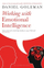 Working With Emotional Intelligence - Daniel Goleman