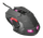 Maus Trust GXT, i zi