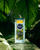 Xhel dushi Nivea Extreme Wild Fresh Citrus kDKR9322, 500 ml
