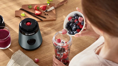 Blender Bosch MMB2111S, 0.8 L, i hirtë
