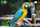 Televizor Kruger&Matz KM0232-S6 LED, 32'', HD Ready, i zi