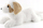 Lodër pelushi qen Havanese MADE Mascot, 60cm, e bardhë