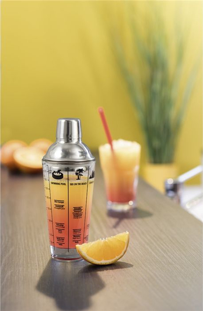 Shaker koktejesh Xavax, 400ml, qelq, transparent me elemente argjendi