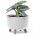 Vazo lulesh GRACIA Beton Effect, 39 cm, plastike, gri