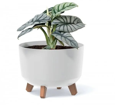 Vazo lulesh GRACIA Beton Effect, 39 cm, plastike, gri