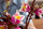 Set ndërtimi LEGO Botanicals Magnolia Branches 11510, 844 pjesë, për të rritur, shumëngjyrësh
