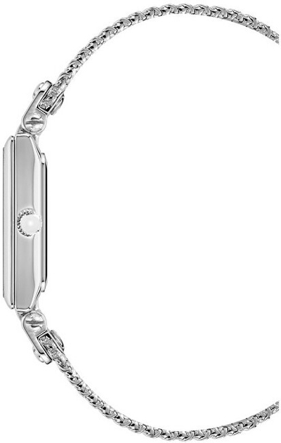 Orë dore Anne Klein Analog AK/3883BYSV