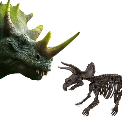 Set gërmimi dinosaurësh SES Creative 2 në 1 Triceratops, skelet dinosauri, për kalamaj