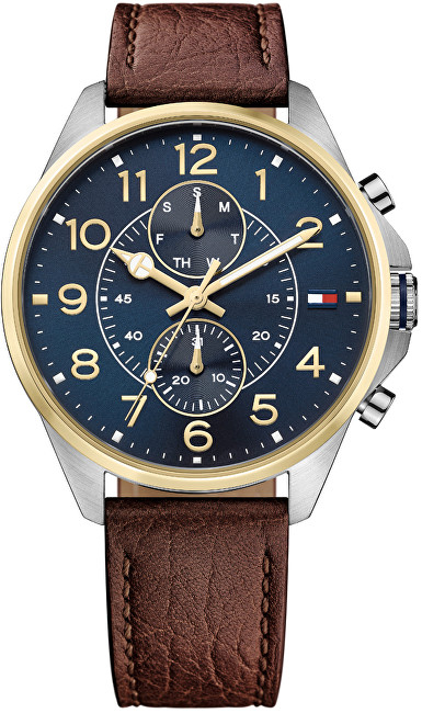 Orë dore Tommy Hilfiger Dean 1791275