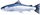 Jastëk Gaby Sea trout - 110 cm