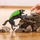 Figurë lodër Schleich Eldrador Granite Wolf 70153, për kalamaj 7+, gri me jeshile