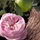 Parfum Chloe Rose Naturelle Intense për goca, Eau de Parfum, 30ml