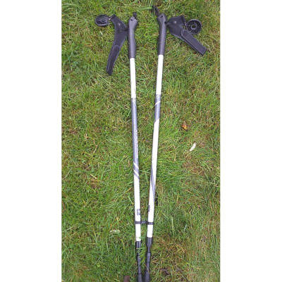Shkopinj trekking Best Sporting, alumin, rregullueshëm 84-140 cm, argjendtë