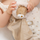 Mbajtëse për meme Nattou Doudou Lion, 19 cm, Ernest Brown