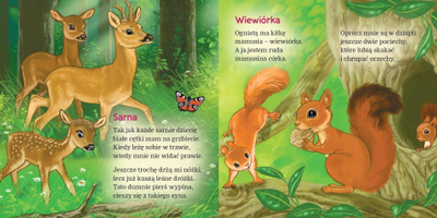 Libër për kalamoj Skrzat In Europe The Forest The Squirrel, në polonisht, paperback